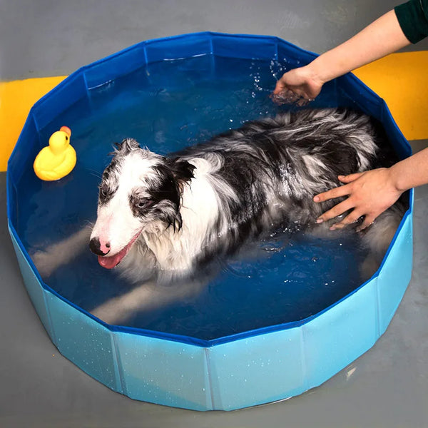 Foldable Pet Pool