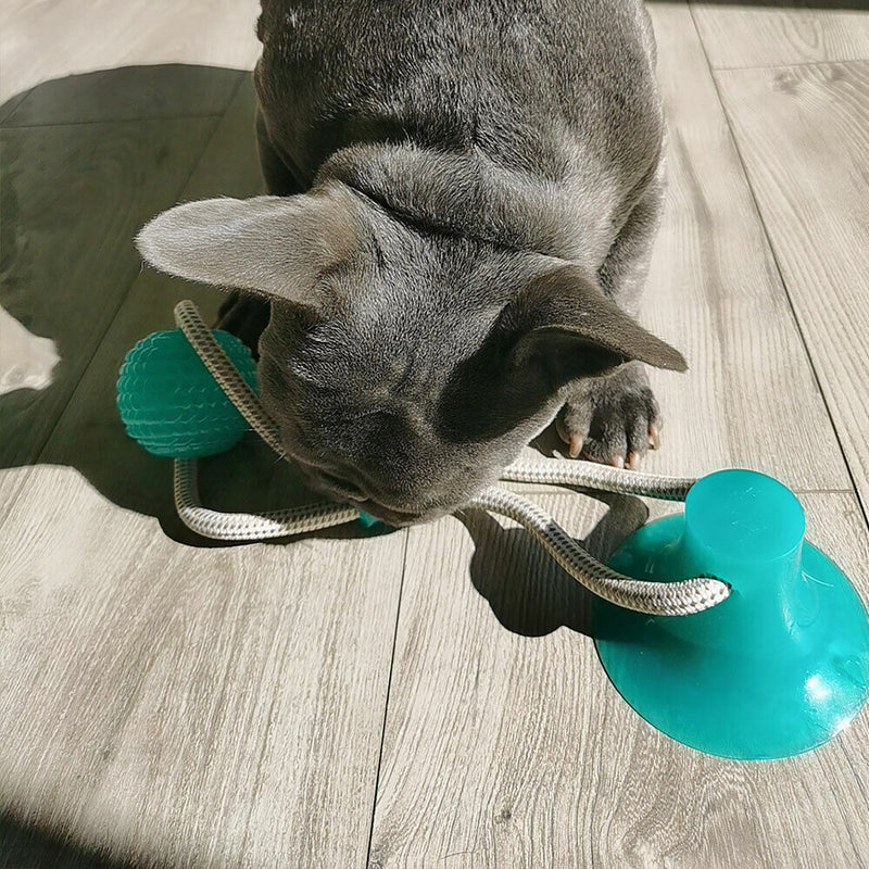 Tug Toy for Pets