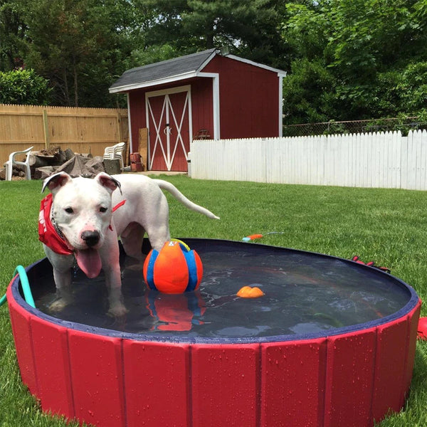 Foldable Pet Pool